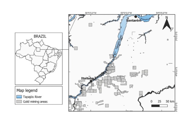 Fish consumption habits of pregnant women in Itaituba, Tapajós River basin, Brazil: risks of mercury contamination as assessed by measuring total mercury in highly consumed piscivore fish species and in hair of pregnant women.