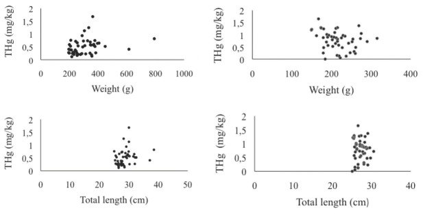 Fish consumption habits of pregnant women in Itaituba, Tapajós River basin, Brazil: risks of mercury contamination as assessed by measuring total mercury in highly consumed piscivore fish species and in hair of pregnant women.