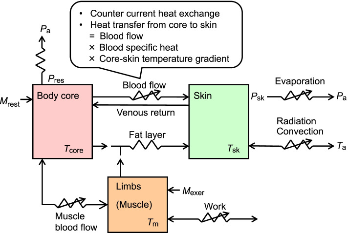 How humans adapt to hot climates learned from the recent research on tropical indigenes.