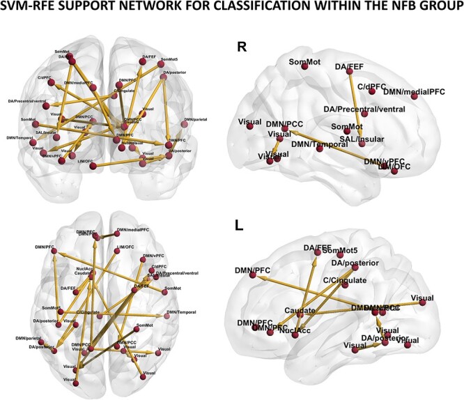 One session of fMRI-Neurofeedback training on motor imagery modulates whole-brain effective connectivity and dynamical complexity.