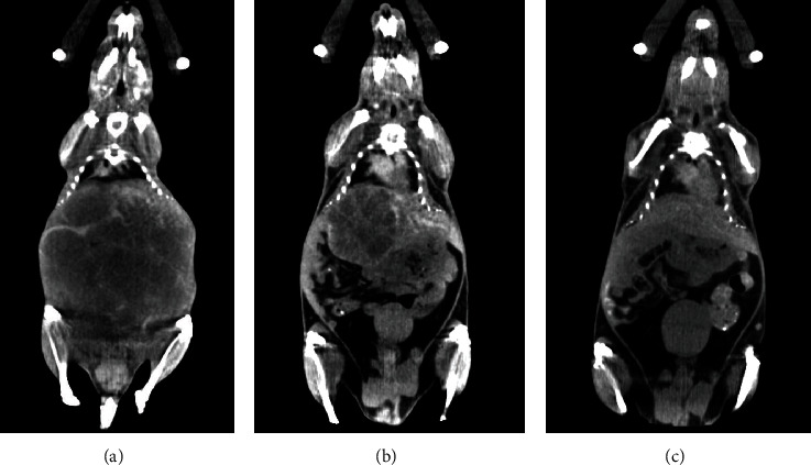 [<sup>18</sup>F]-(2S,4R)4-Fluoroglutamine PET Imaging of Glutamine Metabolism in Murine Models of Hepatocellular Carcinoma (HCC).