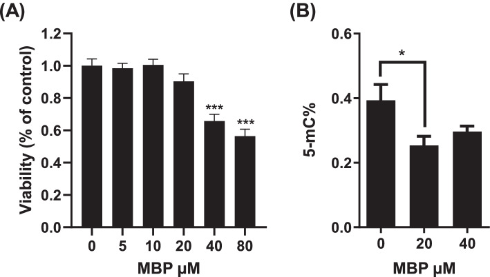 Bisphenol-A reduces DNA methylation after metabolic activation.