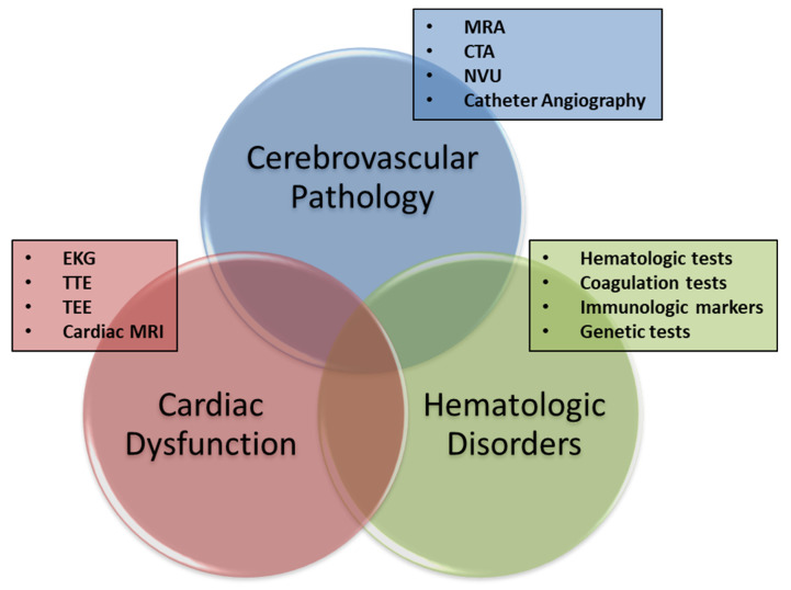 Recent advances in the management of transient ischemic attacks.