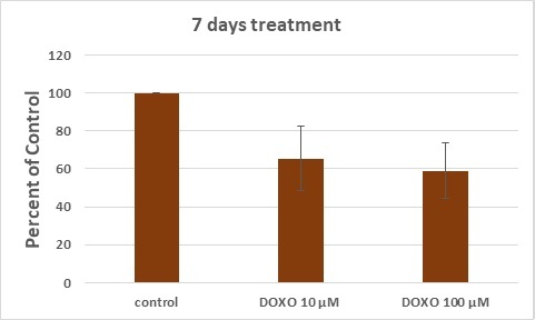 Combined Effects of Doxorubicin and Temozolomide in Cultured Glioblastoma Cells.