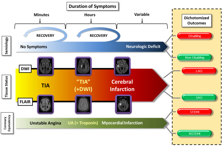 Recent advances in the management of transient ischemic attacks.