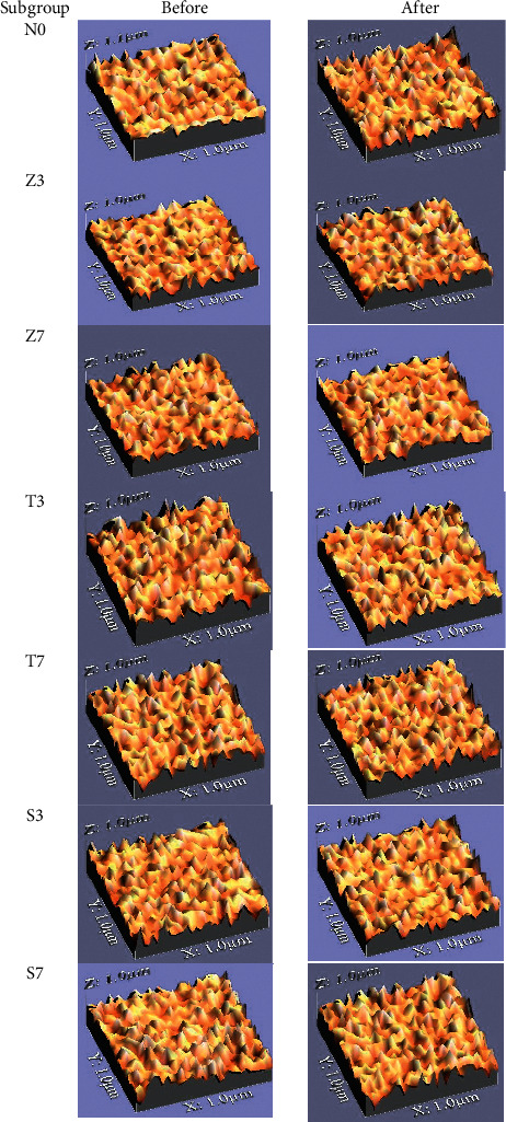 Impact of Nanoparticles Additions on the Strength of Dental Composite Resin.