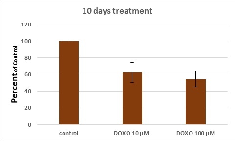 Combined Effects of Doxorubicin and Temozolomide in Cultured Glioblastoma Cells.