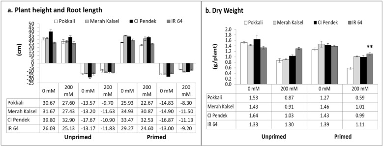 Seed Halopriming Improves Salinity Tolerance of Some Rice Cultivars During Seedling Stage.