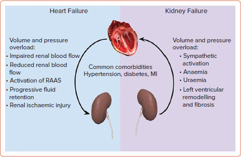 Management of Heart Failure in Patients with Chronic Kidney Disease.