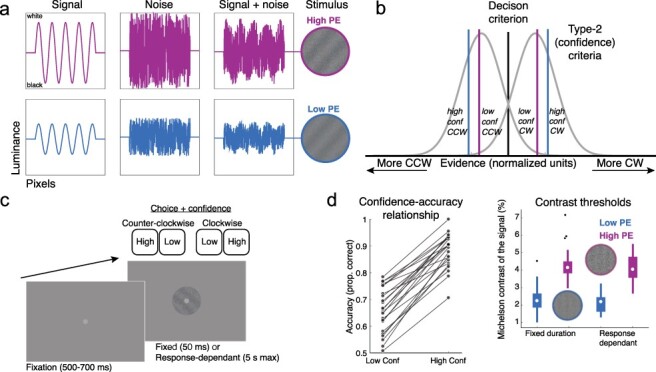 The positive evidence bias in perceptual confidence is unlikely post-decisional.