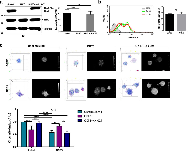 Lack of Nck1 protein and Nck-CD3 interaction caused the increment of lipid content in Jurkat T cells.