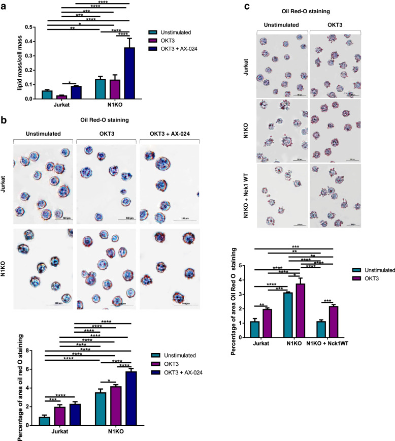 Lack of Nck1 protein and Nck-CD3 interaction caused the increment of lipid content in Jurkat T cells.