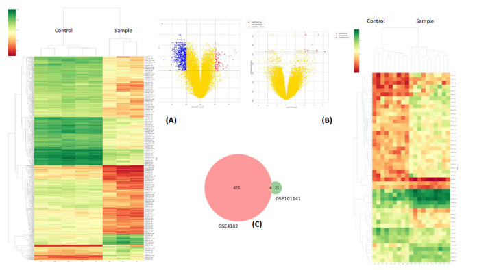 Recursive Feature Elimination-based Biomarker Identification for Open Neural Tube Defects.