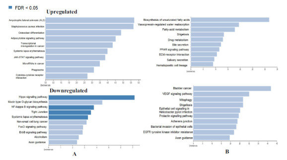 Recursive Feature Elimination-based Biomarker Identification for Open Neural Tube Defects.