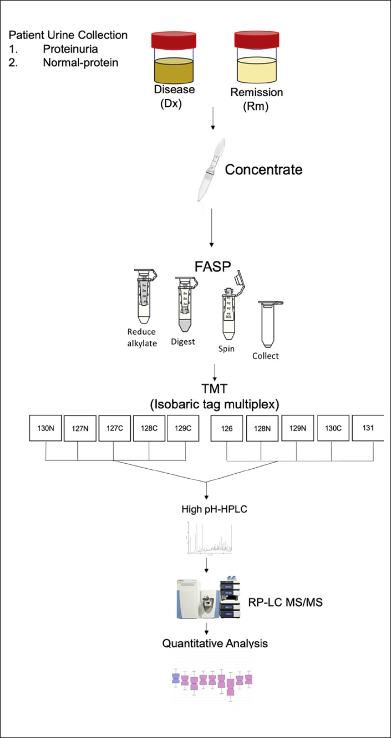 Quantitative Mass Spectrometry Normalization in Urine Biomarker Analysis in Nephrotic Syndrome.