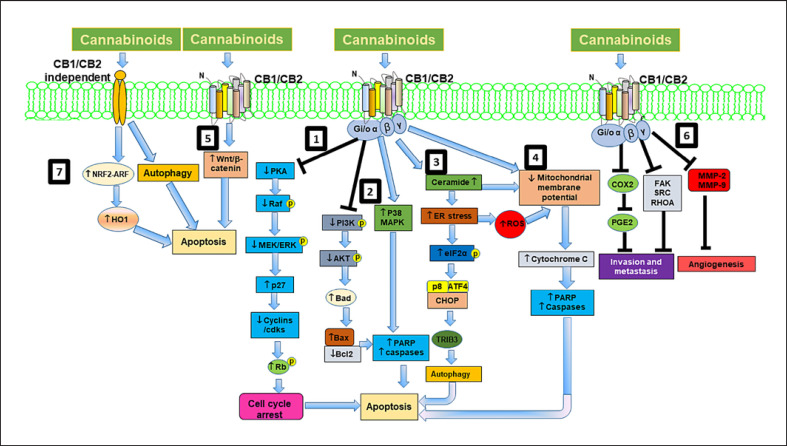 Perspectives on Challenges in Cannabis Drug Delivery Systems: Where Are We?