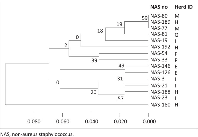 Species identification and cow risks of non-aureus staphylococci from South African dairy herds.