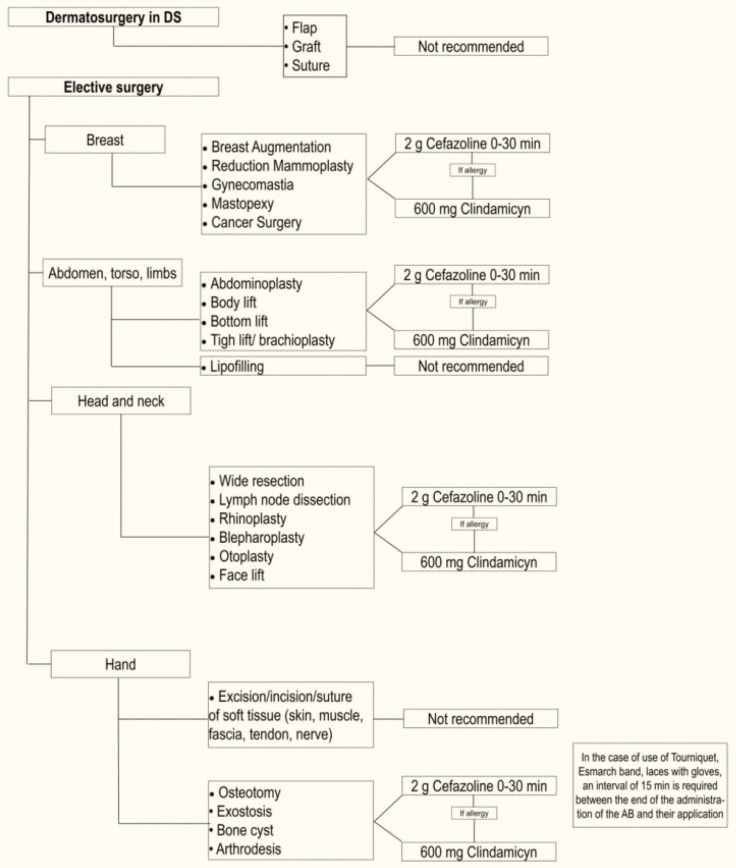 Antibiotic Prophylaxis in Plastic Surgery: From Systematic Review to Operative Algorithm.