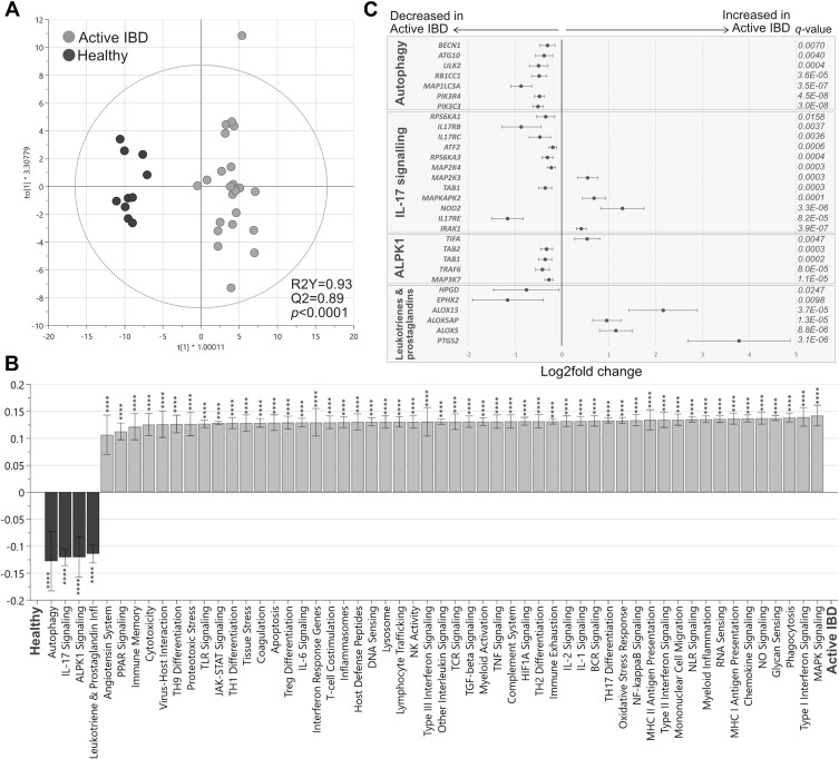 Downregulated Mucosal Autophagy, Alpha Kinase-1 and IL-17 Signaling Pathways in Active and Quiescent Ulcerative Colitis.