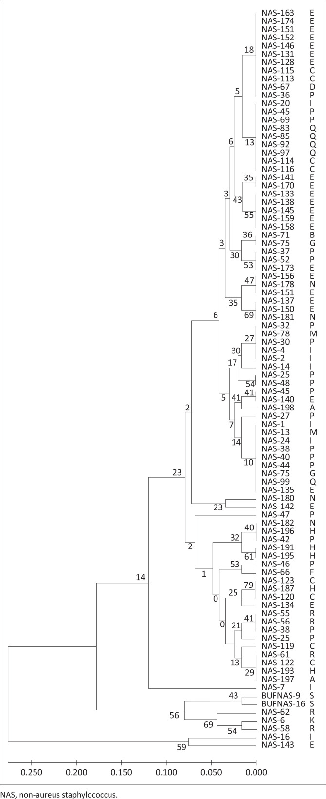 Species identification and cow risks of non-aureus staphylococci from South African dairy herds.