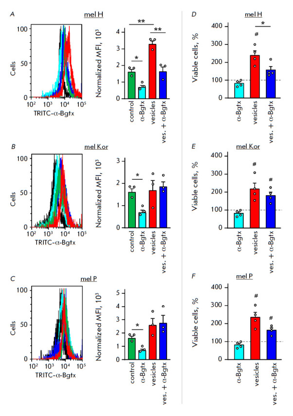 Extracellular Vesicles Derived from Metastatic Melanoma Cells Transfer α7-nAChR mRNA, Thus Increasing the Surface Expression of the Receptor and Stimulating the Growth of Normal Keratinocytes.