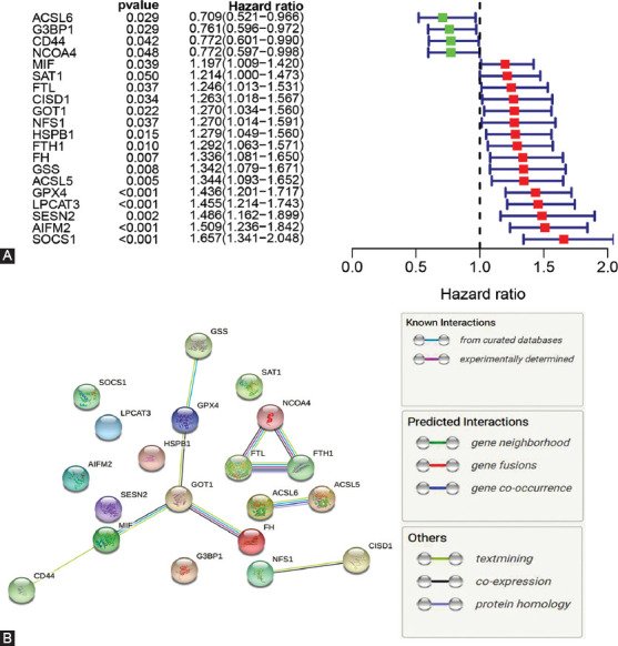 A novel ferroptosis-related gene signature can predict prognosis and influence immune microenvironment in acute myeloid leukemia.
