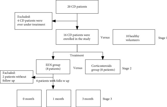 Exploring Different Effects of Exclusive Enteral Nutrition (EEN) and Corticosteroids on the Gut Microbiome in Crohn's Disease Based on a Three-Stage Strategy.