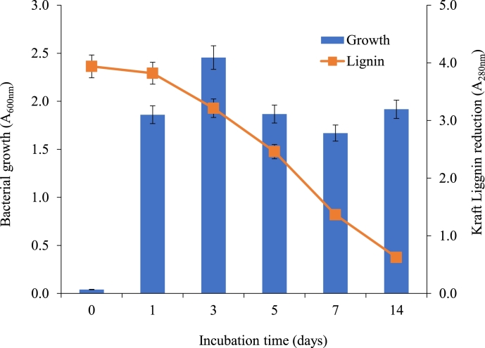 Isolation of functional ligninolytic Bacillus aryabhattai from paper mill sludge and its lignin degradation potential