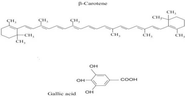 Improving the effects of salt stress by β-carotene and gallic acid using increasing antioxidant activity and regulating ion uptake in Lepidium sativum L.