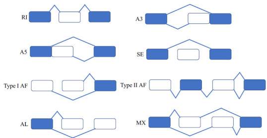 A Global Analysis of Alternative Splicing of <i>Dichocarpum</i> Medicinal Plants, Ranunculales.