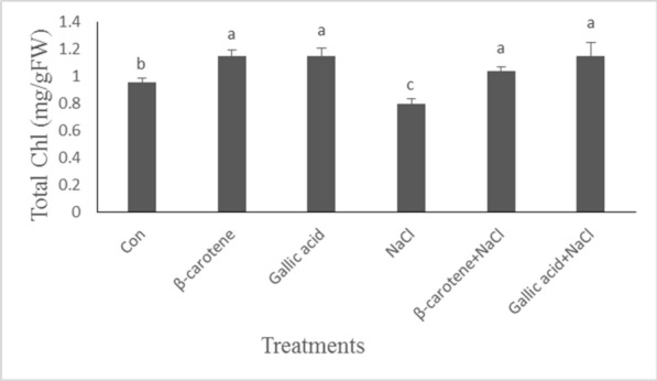 Improving the effects of salt stress by β-carotene and gallic acid using increasing antioxidant activity and regulating ion uptake in Lepidium sativum L.