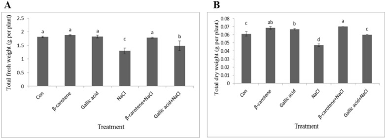 Improving the effects of salt stress by β-carotene and gallic acid using increasing antioxidant activity and regulating ion uptake in Lepidium sativum L.