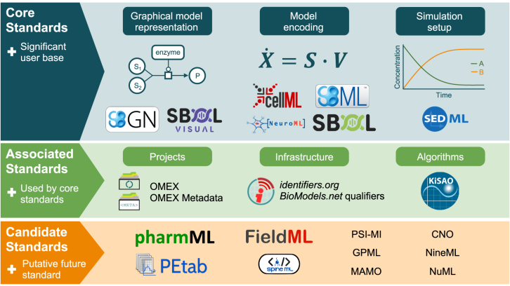 Design considerations for representing systems biology information with the Systems Biology Graphical Notation.