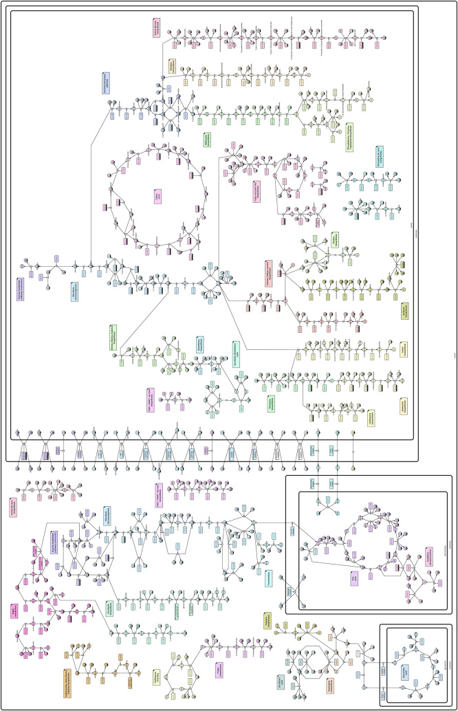 Design considerations for representing systems biology information with the Systems Biology Graphical Notation.