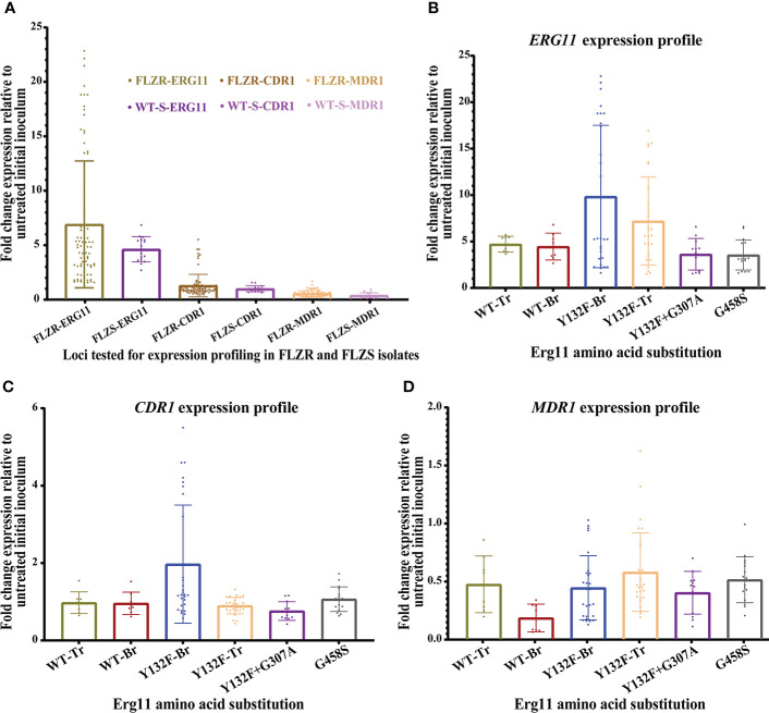 Determinants of fluconazole resistance and the efficacy of fluconazole and milbemycin oxim combination against <i>Candida parapsilosis</i> clinical isolates from Brazil and Turkey.