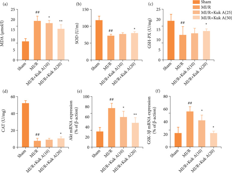 Kukoamine A activates Akt/GSK-3β signaling pathway to inhibit oxidative stress and relieve myocardial ischemia-reperfusion injury.