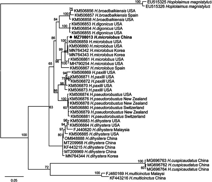 Identification and a culture method for a Helicotylenchus microlobus from tomato in China.