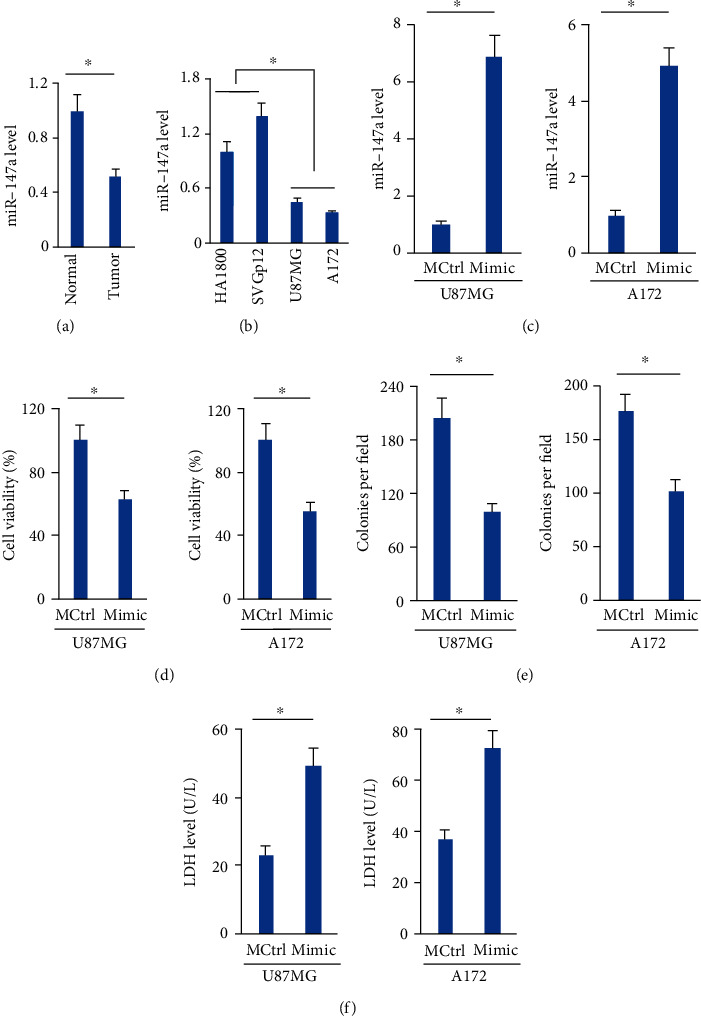 MicroRNA-147a Targets SLC40A1 to Induce Ferroptosis in Human Glioblastoma.