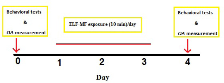 Effect of Short-time Exposure of Local Extremely Low-Frequency Magnetic Fields on Sleepiness in Male Rats.