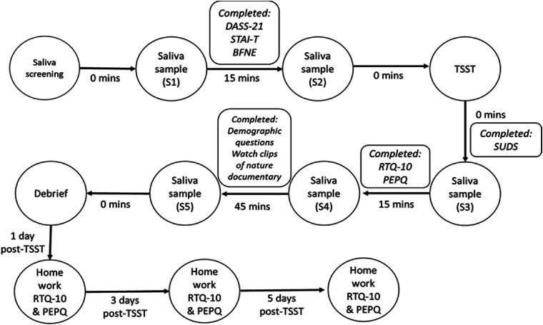The Association Between Salivary FGF2 and Physiological and Psychological Components of the Human Stress Response.