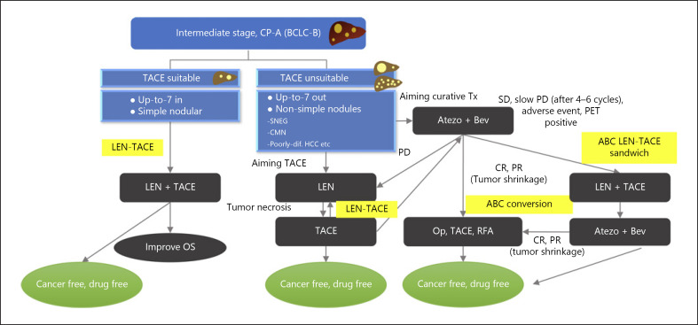 Atezolizumab plus Bevacizumab Followed by Curative Conversion (ABC Conversion) in Patients with Unresectable, TACE-Unsuitable Intermediate-Stage Hepatocellular Carcinoma.