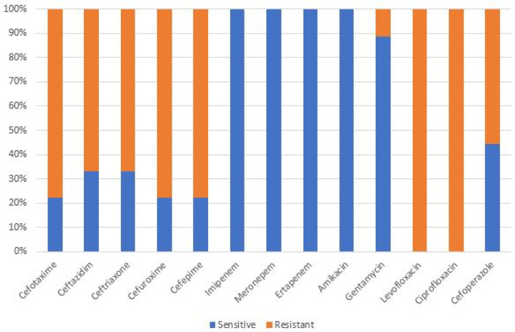 Clinical, Laboratory and Bacterial Profile of Spontaneous Bacterial Peritonitis in Vietnamese Patients with Liver Cirrhosis.