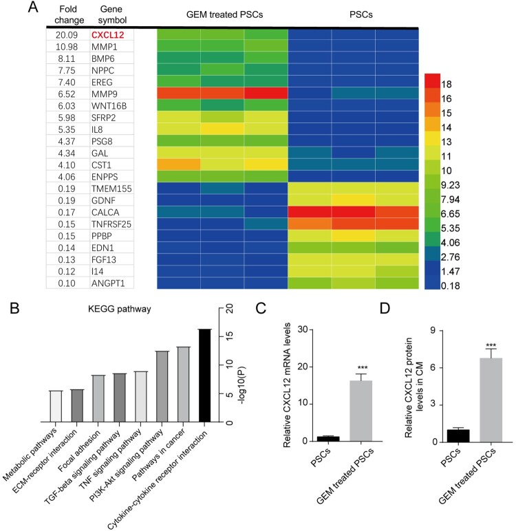 CXCL12 secreted by pancreatic stellate cells accelerates gemcitabine resistance of pancreatic cancer by enhancing glycolytic reprogramming.