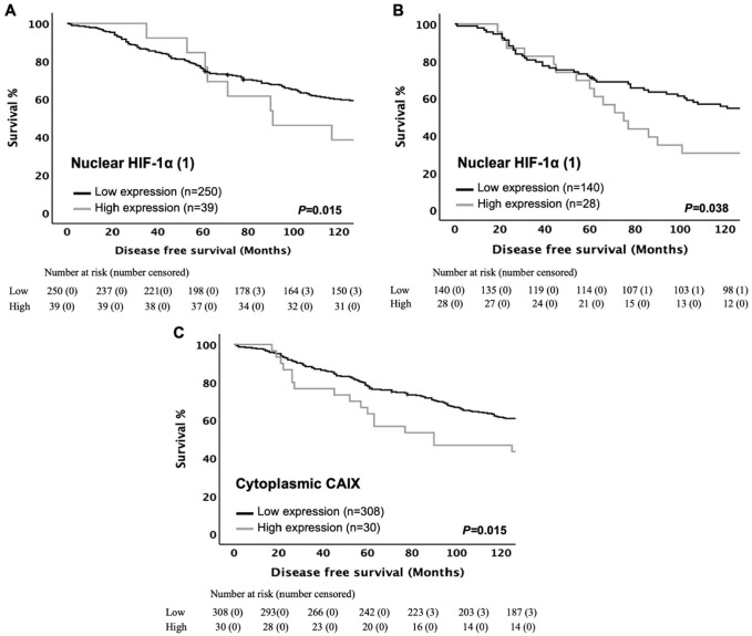 The Relationship Between the Tumor Cell Expression of Hypoxic Markers and Survival in Patients With ER-positive Invasive Ductal Breast Cancer.