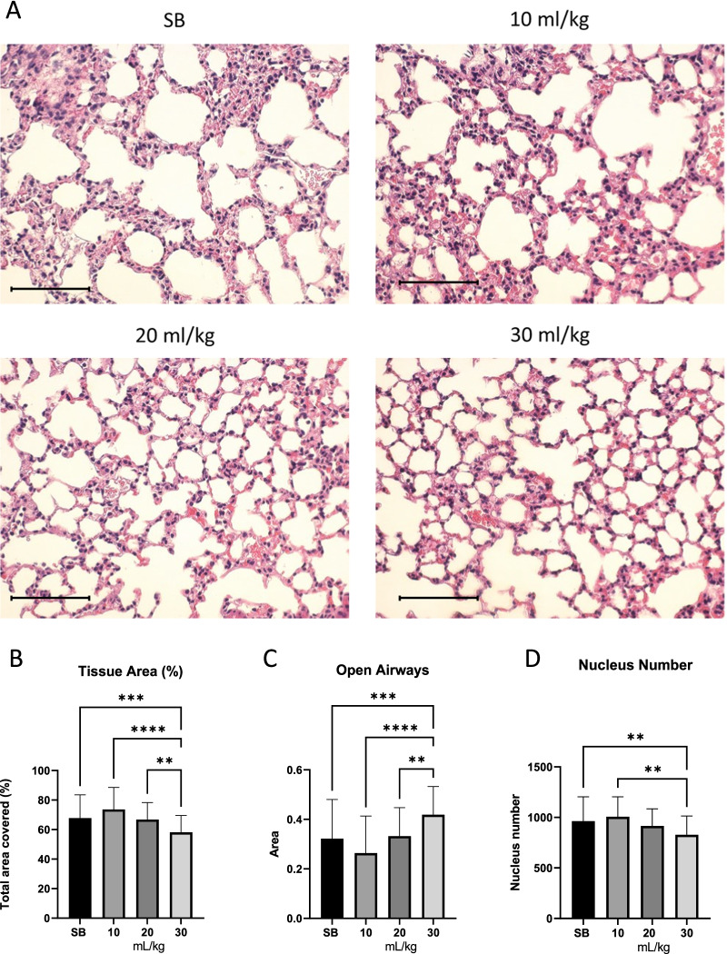 Ventilator-induced lung injury results in oxidative stress response and mitochondrial swelling in a mouse model.