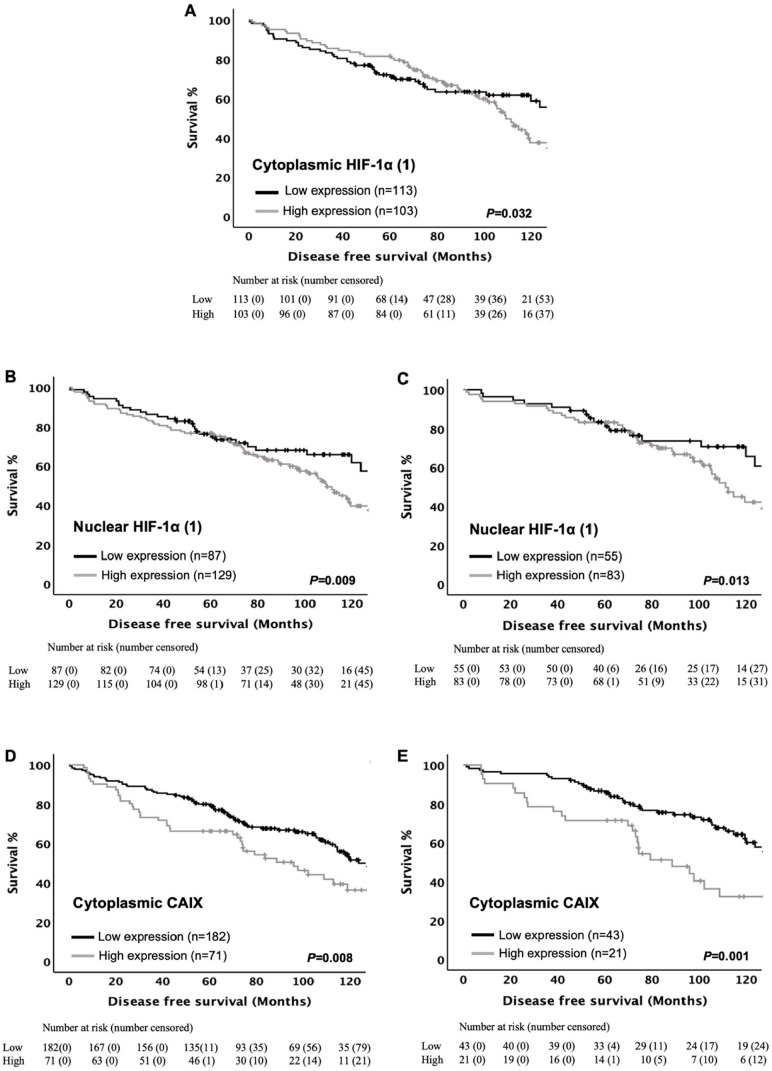 The Relationship Between the Tumor Cell Expression of Hypoxic Markers and Survival in Patients With ER-positive Invasive Ductal Breast Cancer.