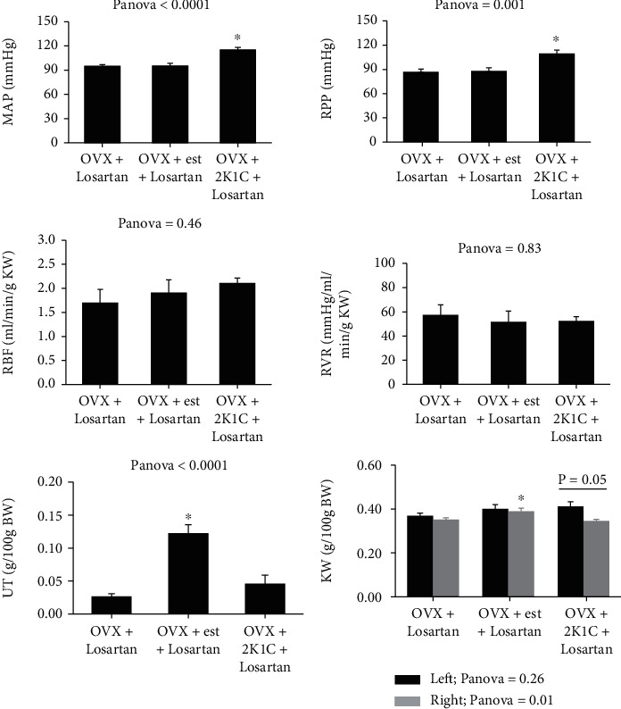 Estradiol Supplement or Induced Hypertension May Attenuate the Angiotensin II Type 1 Receptor Antagonist-Promoted Renal Blood Flow Response to Graded Angiotensin II Administration in Ovariectomized Rats.