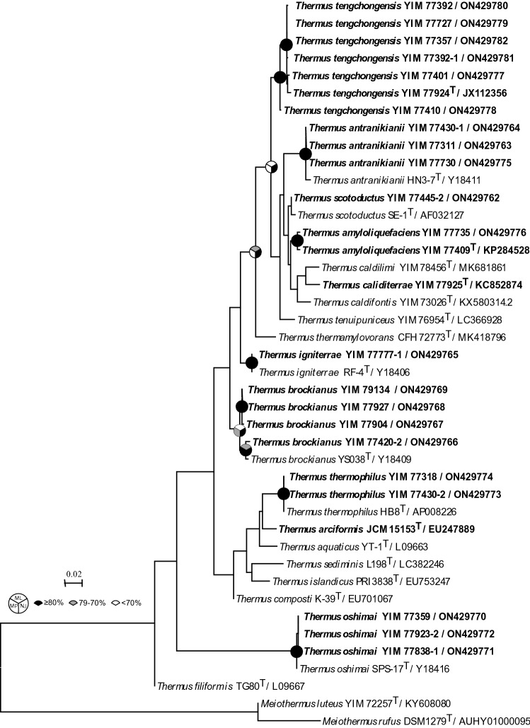 Incomplete denitrification phenotypes in diverse Thermus species from diverse geothermal spring sediments and adjacent soils in southwest China.