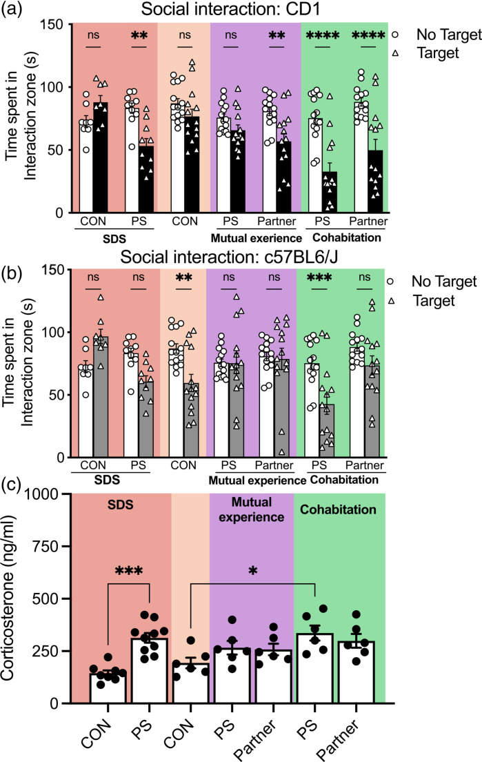 Social Buffering is Dependent on Mutual Experience in Adolescent Male Mice Exposed to Social Defeat Stress.