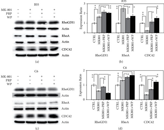 The Effects of Poria cocos on Rho Signaling-Induced Regulation of Mobility and F-Actin Aggregation in MK-801-Treated B35 and C6 Cells.